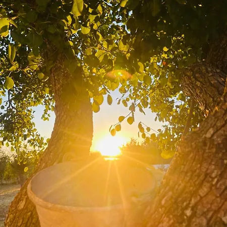 Petrae House 3* Ostuni