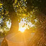 Petrae House 3* Ostuni