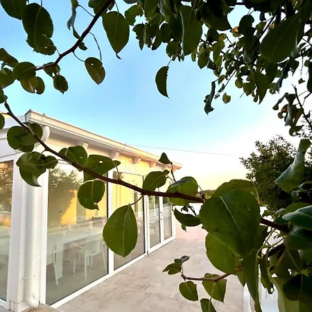 Petrae House